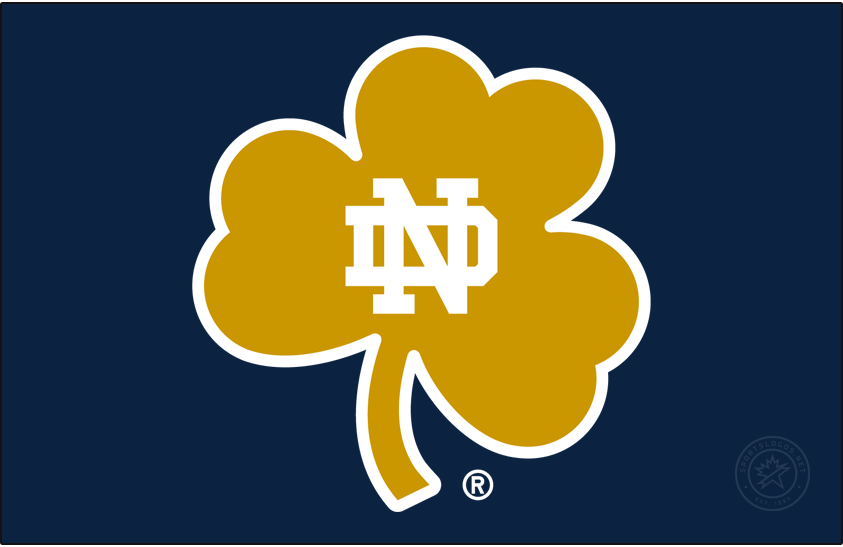 Notre Dame Fighting Irish 2015-Pres Secondary Logo diy DTF decal sticker